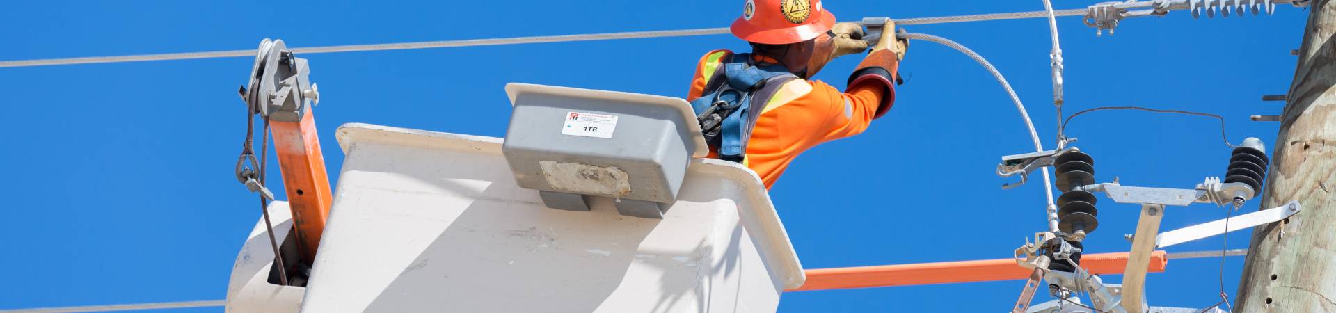 Pelican Energy TCI Supply of Electricity Form