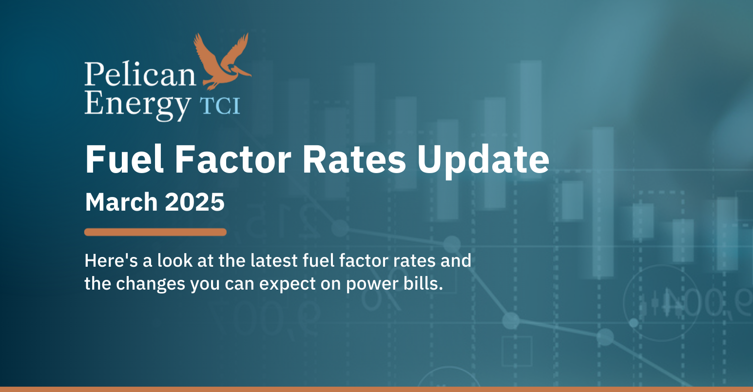 Fuel Factor Rates Update: March 2025