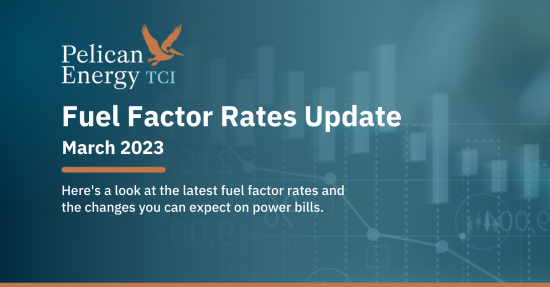 Fuel Factor Rates Decline By Up To 18% - March 2023